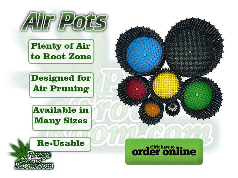plenty of air to root zone, designed for airpruning, available in many sizes, re usable, Cannabis growers forum & community, How to grow cannabis, how to grow weed, a step by step guide to growing weed, cannabis growers forum, need help with sick plant, what's wrong with my cannabis plant, percys Grow Room, the Grow Room, percys Grow Guides, we'd growing forum, weed growers community, how to grow weed in coco, when is my cannabis plant ready for harvest, how to feed my cannabis plant, beginners guide to growing weed, how to grow weed for personal use, cannabis plant deficiency, how to germinate cannabis seeds, where to buy cannabis seeds, best weed growers website