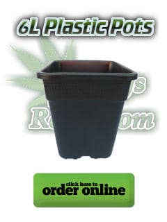 6l plastic pots for growing cannabis, Cannabis growers forum & community, How to grow cannabis, how to grow weed, a step by step guide to growing weed, cannabis growers forum, need help with sick plant, what's wrong with my cannabis plant, percys Grow Room, the Grow Room, percys Grow Guides, we'd growing forum, weed growers community, how to grow weed in coco, when is my cannabis plant ready for harvest, how to feed my cannabis plant, beginners guide to growing weed, how to grow weed for personal use, cannabis plant deficiency, how to germinate cannabis seeds, where to buy cannabis seeds, best weed growers website