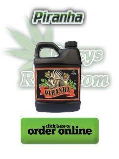 advanced nutrients piranha, Cannabis growers forum & community, How to grow cannabis, how to grow weed, a step by step guide to growing weed, cannabis growers forum, need help with sick plant, what's wrong with my cannabis plant, percy's Grow Room, the Grow Room, Cannabis Grow Guides, weed growing forum, weed growers community, how to grow weed in coco, when is my cannabis plant ready for harvest, how to feed my cannabis plant, beginners guide to growing weed, how to grow weed for personal use, cannabis plant deficiency, how to germinate cannabis seeds, where to buy cannabis seeds, best weed growers website, Learn to grow cannabis, is it easy to grow weed