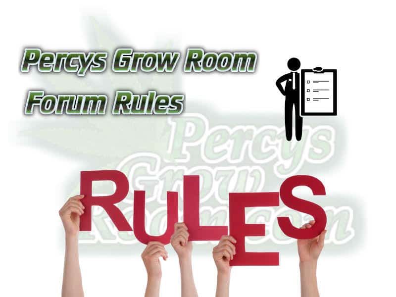 Percys Grow Room Rules, How to grow cannabis, how to grow weed, a step by step guide to growing weed, cannabis growers forum, need help with sick plant, what's wrong with my cannabis plant, percys Grow Room, the Grow Room, percys Grow Guides, we'd growing forum, weed growers community, how to grow weed in coco, when is my cannabis plant ready for harvest, how to feed my cannabis plant, beginners guide to growing weed, how to grow weed for personal use, cannabis plant deficiency, how to germinate cannabis seeds, where to buy cannabis seeds, best weed growers website, Cannabis Growers forum, weed growers forum, How to grow legal cannabis, a step by step guide to growing weed, cannabis growing guide, tips for marijuana growers, growing cannabis plants for the first time, marijuana growers forum, marijuana growing tips, cannabis plant problems, cannabis plant help, marijuana growing expert advice
