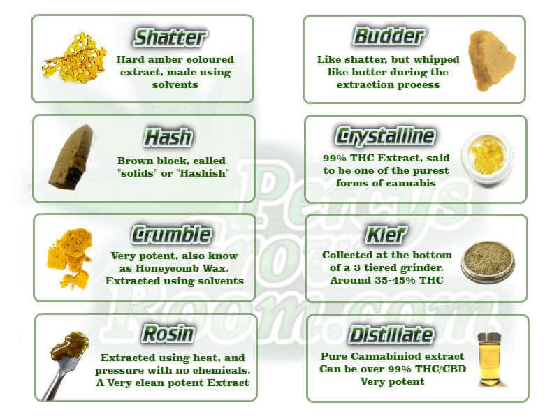 Different Types Of Cannabis Extracts Percys Grow Room
