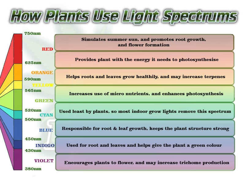 how plants use light spectrums, Grow lighting PAR