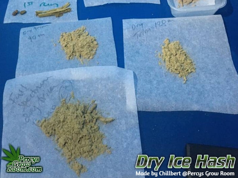 Dry ice hash, home made hash, percys grow room, cannabis growing forum