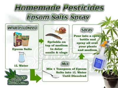 How to make epsom salts pesticdes (1)