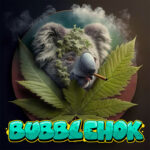 BubbleHok